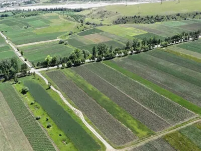 32131 1 новости Департамент автомобильных дорог, министр экономики и устойчивого развития Грузии, Тержола