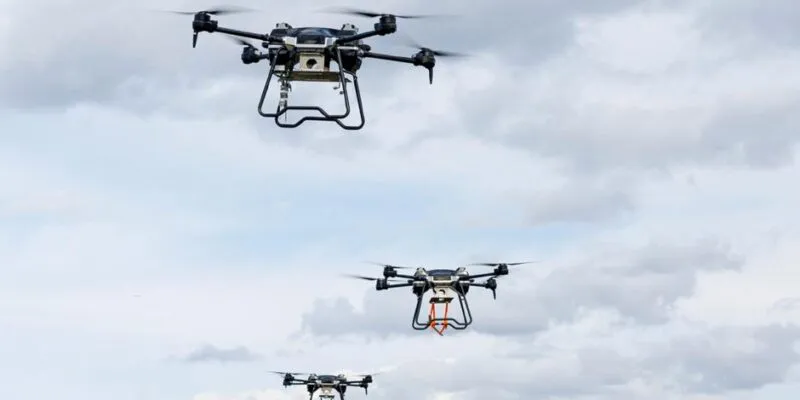 71273205 403.jpg Deutsche Welle Румыния