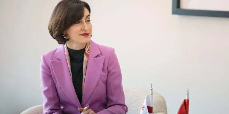 bochorishvili makamaka новости Глава МИД Грузии, грузия-ПА ОБСЕ, Мака Бочоришвили, Пере Хуан Понсо Сампьетро, политический диалог