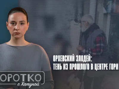 konji shorts thumbnale youtube 4 SOVA-блог featured, криминал, Михаил Азаладзе, Орхевский маньяк, Судебный клан