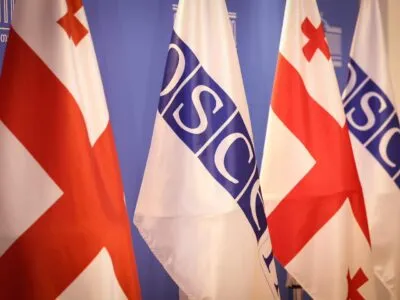 obse gruzia gruzia obse ocse новости Гела Геладзе, Леван Иоселиани, МВД Грузии, Михаил Кавелашвили, Омбудсмен Грузии, ПА ОБСЕ, Пере Хуан Понсо Сампьетро