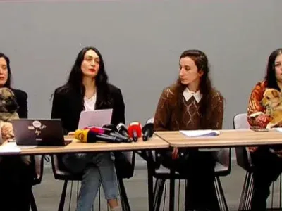 32131 новости Animal Project, Агентство мониторинга животных, бродячие животные, грузия.животные, собаки в Грузии