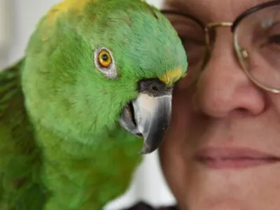 Джулия и Артуро