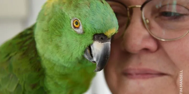 Джулия и Артуро