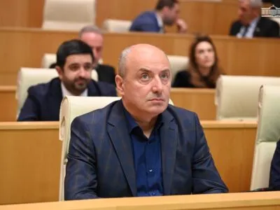 macharashvili новости Гурам Мачарашвили, закон о грантах, Сила народа