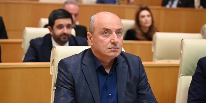 В закон "О грантах" вносятся не поправки, а уточнения по поводу средств дипмиссий 1 macharashvili новости Гурам Мачарашвили, закон о грантах, Сила народа