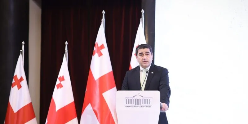 papuashvili stoit flagi новости запрет партий, Конституционный суд Грузии, партия "Федералисты", Спикер парламента, Тамар Черголеишвили, Шалва Папуашвили