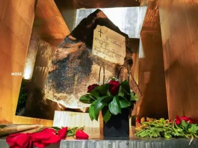 photo 2026 04 08 22 39 04 новости новости