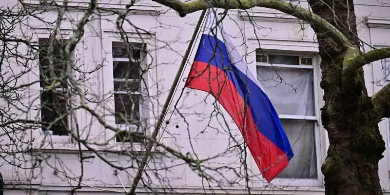 Российский флаг на здании за ветками деревьев.