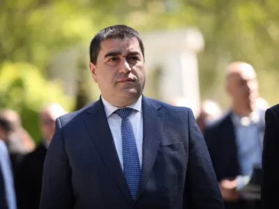 papuashvili shalva новости Грузия-Германия, Петер Фишер, Шалва Папуашвили