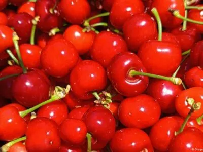 Россия запретила ввоз всей растительной продукции из Армении 5 77207846 403 1.jpg 1 Deutsche Welle Армения-Россия