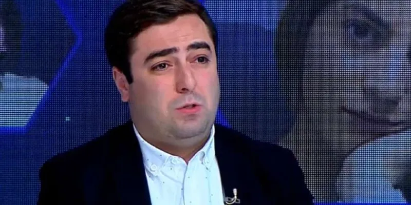 Эксперт: на встрече «3+3» в Петербурге я не представлял Грузию 1 metreveli новости 3+3, Грузия-Россия, МИД Грузии, Николоз Метревели, оккупированные регионы Грузии, ПМЭФ