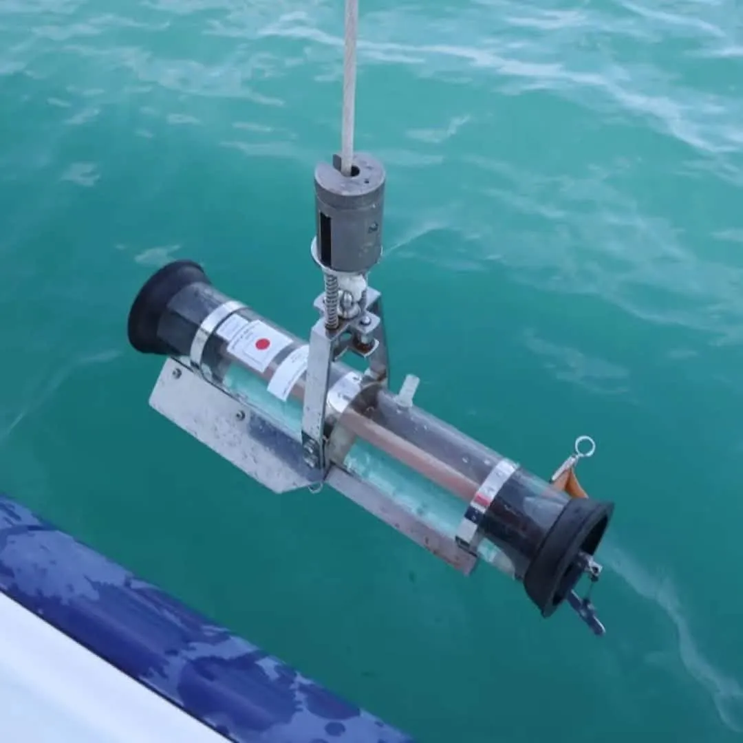 Black Sea water off Georgia’s coast is within normal limits