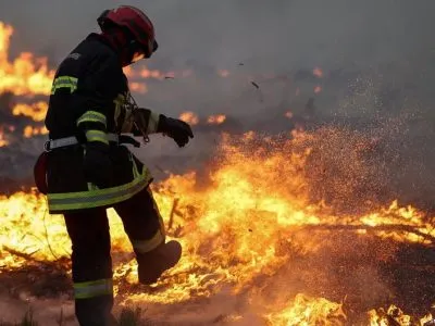 Лесные пожары: во Франции готовят эвакуацию еще 55 тысяч человек 2 78117423 403.jpg Deutsche Welle Франция