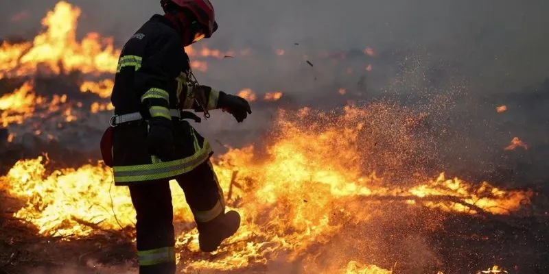 78117423 403.jpg Deutsche Welle Франция