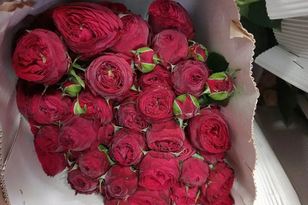 Armenia Exports First Batch of Flowers to UAE Amid Russian Embargo