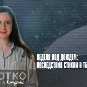 konji shorts thumbnale youtube 4 Fact or Fake Каха Каладзе, мэр Тбилиси, наводнение. дожди, непогода