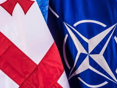 Дипломаты: саммит НАТО в Анкаре - еще один шаг Грузии в самоизоляцию 3 nato gruzia новости Мака Бочоришвили, МИД Грузии, Общество дипломатов Грузии, саммит НАТО в Анкаре