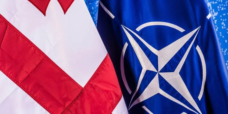 Дипломаты: саммит НАТО в Анкаре - еще один шаг Грузии в самоизоляцию 1 nato gruzia новости Мака Бочоришвили, МИД Грузии, Общество дипломатов Грузии, саммит НАТО в Анкаре