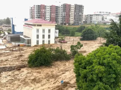 Severe weather in Telavi: bridge destroyed, thousands of residents left without electricity and gas 5 screenshot 2026 07 12 105343 News