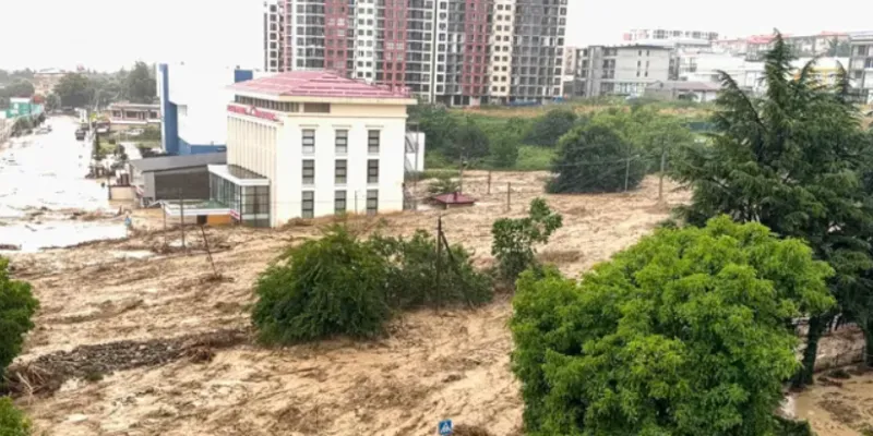 screenshot 2026 07 12 105343 новости Платон Калмахелидзе, проспект Кавкасиони, река Телависхеви, сильные дожди, стихия в Телави