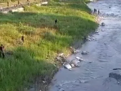 Tskhinvali and Tbilisi search for young man swept away by Liakhvi River 5 screenshot 2026 07 26 083651 News
