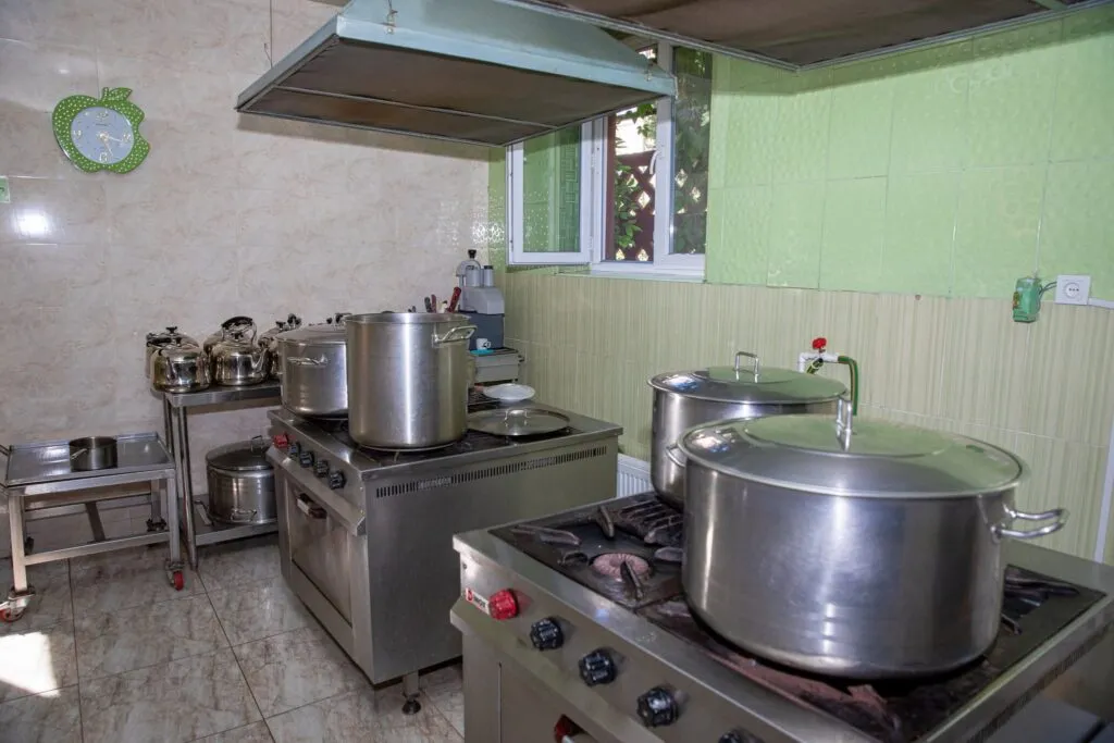 Following Mass Poisoning in Kindergartens, Georgia’s Food Agency Inspects 70 Facilities