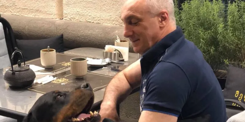 Businessman and Animal Rights Activist Tamaz Elizbarashvili Goes on Hunger Strike 1 489779199 3182932031847068 5432376838732635887 n News