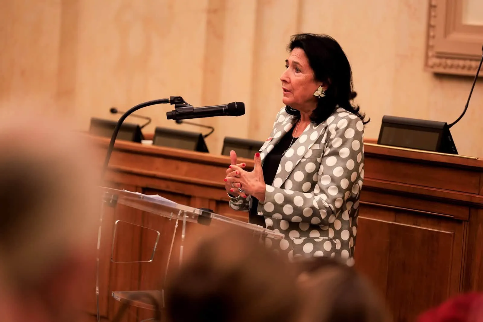 Zurabishvili Speaks in French Parliament on the Dismantling of Democracy in Georgia