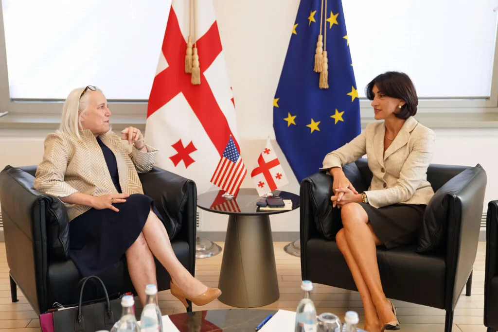 Georgian Foreign Minister Meets with New US Chargé d’Affaires
