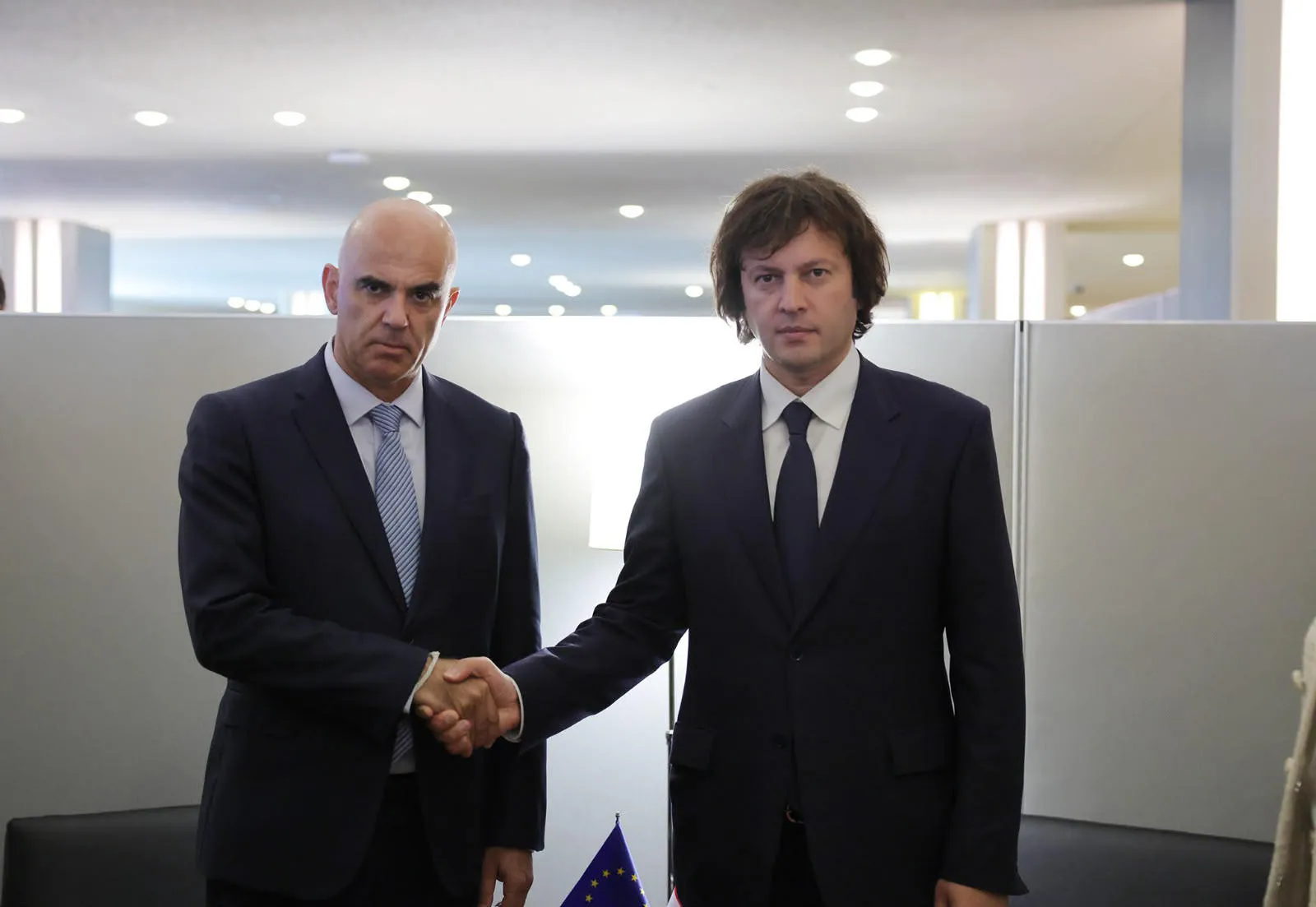 Prime Minister of Georgia Meets with Council of Europe Secretary General