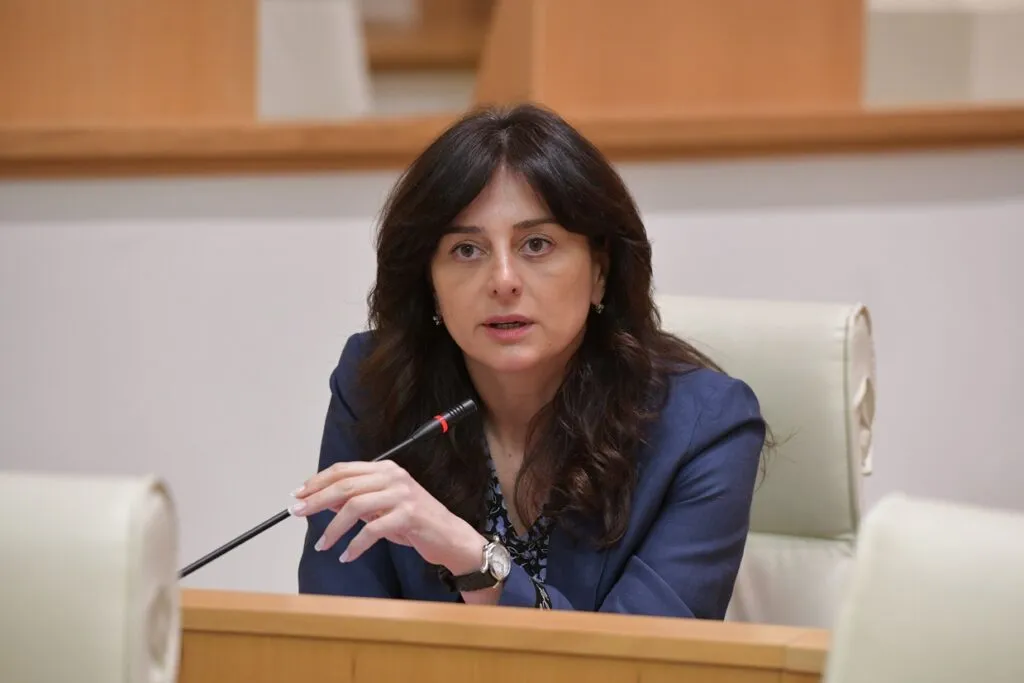 MP Maia Bitadze Appointed Georgia’s Minister of Culture