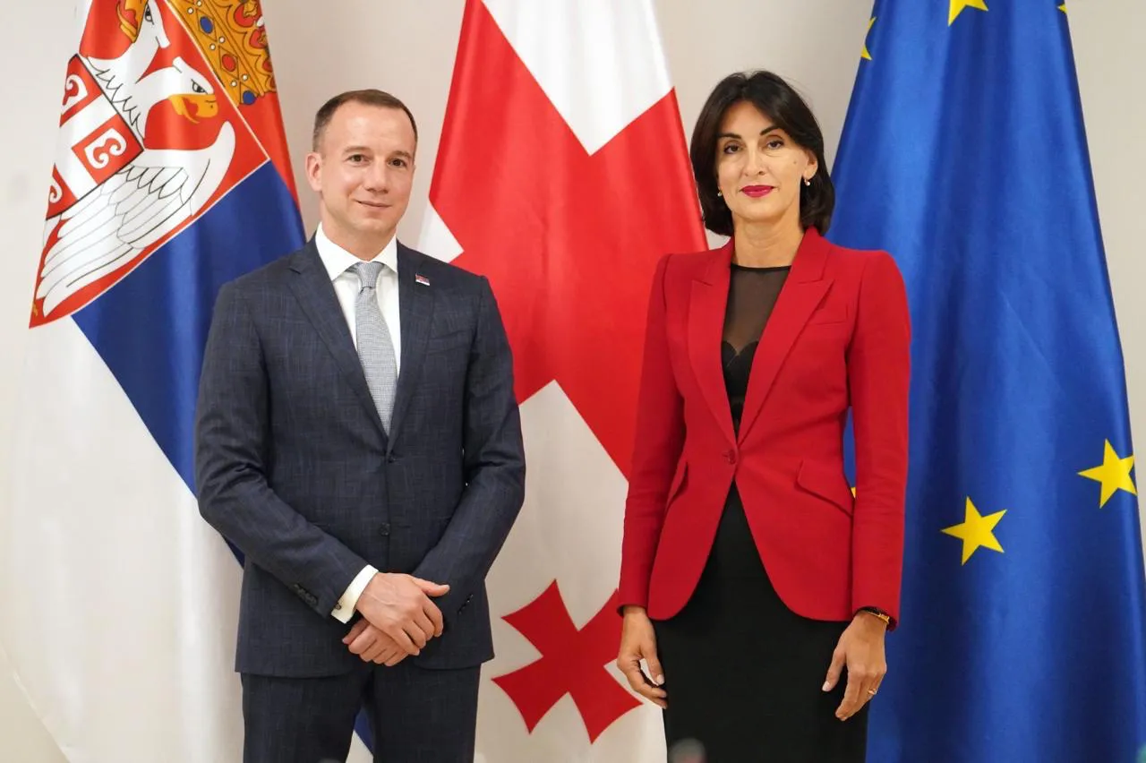 Georgian Foreign Minister Meets with Serbian MFA State Secretary Damjan Jović