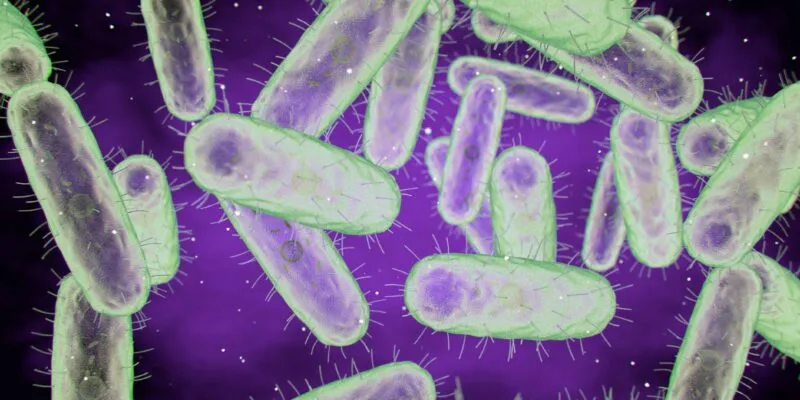 3D-иллюстрация бактерии чумы Yersinia pestis. Это грамотрицательные неподвижные палочковидные бактерии вызывают бубонную чуму