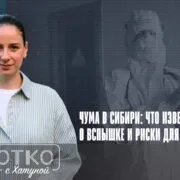 konji shorts thumbnale youtube 2 Fact or Fake Иркутск, Иркутская область, чума