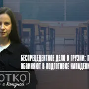 konji shorts thumbnale youtube 9 Fact or Fake МВД Грузии, школа, школьники