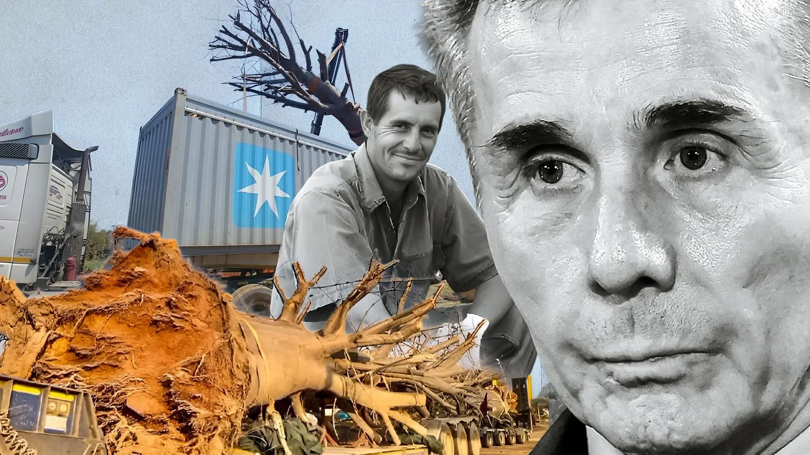 South African Media Suggest Ivanishvili Is Behind Baobab Scandal